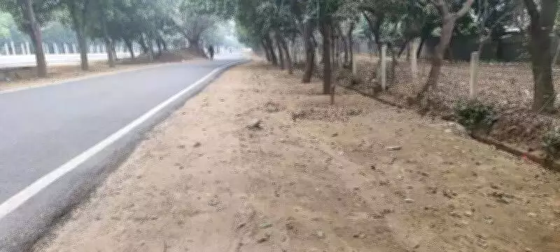 CAQM Flags 102 Dust-Prone Locations in Greater Noida, Highlights Road Cleaning Gaps