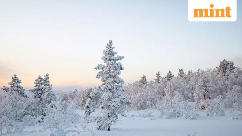 Central Florida Braces for Major Temperature Drop with Freeze Warning Issued