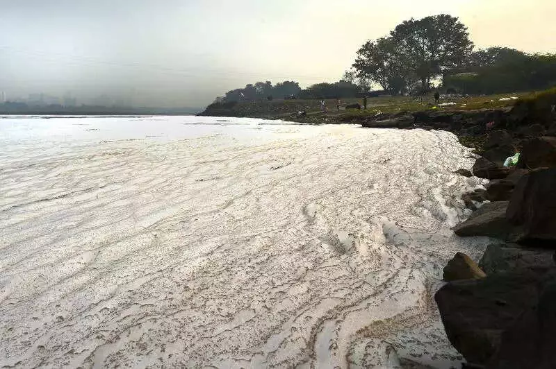 Centre Revives Three Yamuna Dam Projects to Solve Delhi's Water Crisis