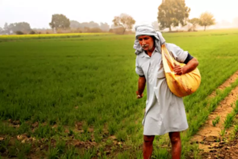 Centre to Introduce New Seed & Pesticide Laws to Protect Farmers from Substandard Products