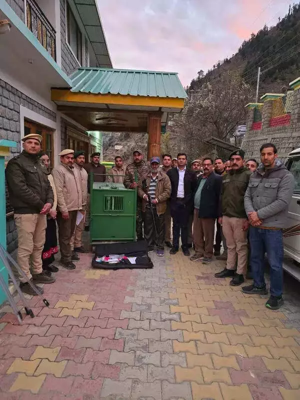 Chamba Bear Attacks: 10 Goats Killed, Villagers in Fear as Predators Target Livelihood