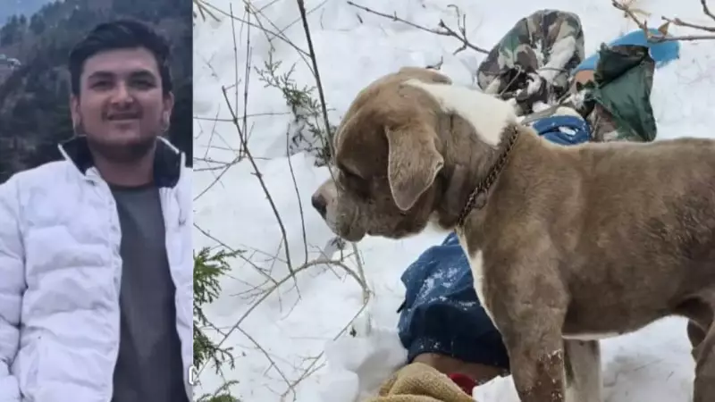 Chamba Tragedy: Two Young Relatives Perish in Barmani Snow While Filming Social Media Reels