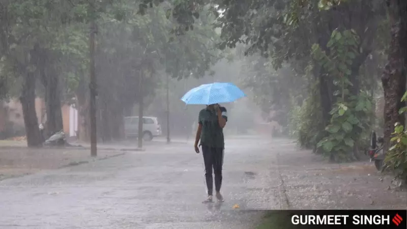 Chandigarh Reels Under Heavy Rain and Gusty Winds: Roof Collapse Injures 3 Children, Traffic Snarls