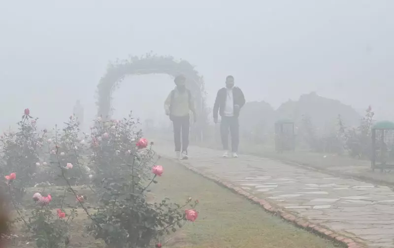 Chandigarh Schools Close for Young Students, Adjust Timings for Senior Classes Amid Cold Wave