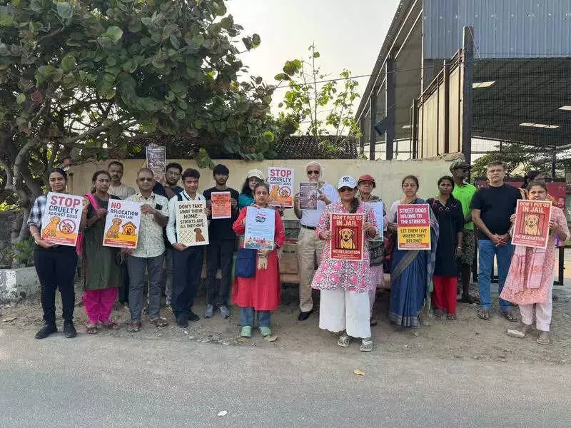 Chennai Activists Rally Against Jan 7 Stray Dog Removal Deadline