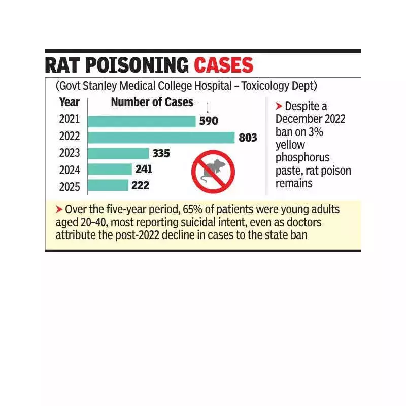 Chennai Doctors Battle Rat Poison Crisis: Hundreds Poisoned Annually