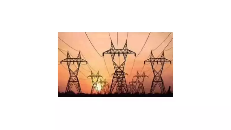 Chennai Power Grievance Forums Crippled: 10,000 Cases Handled Without Full Panels in 2025