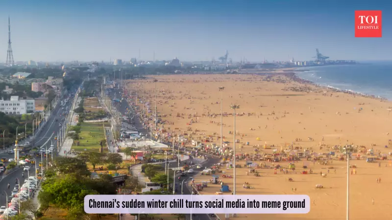 Chennai's Surprise Winter Chill Sparks Meme Frenzy on Social Media