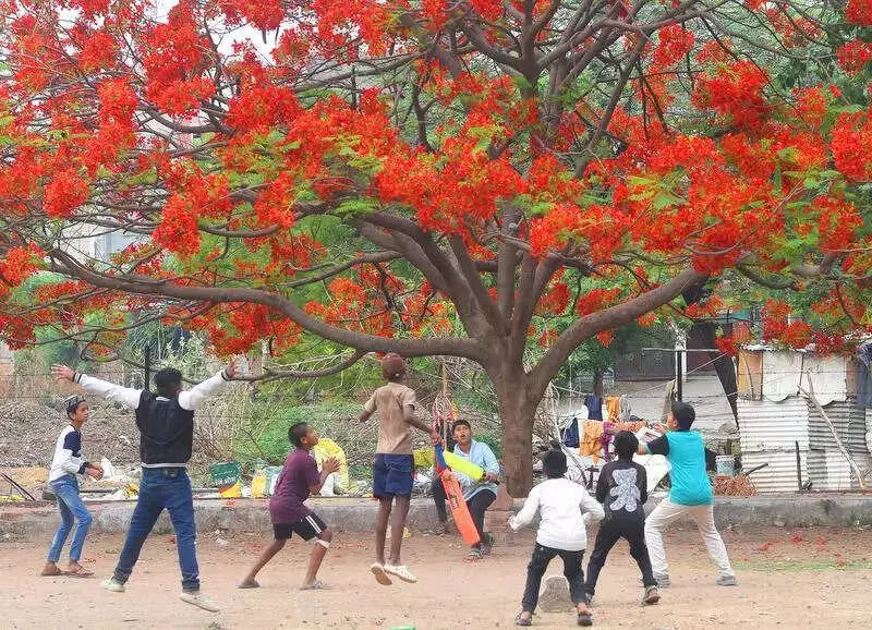 Chhatrapati Sambhajinagar's Next Challenge: From Vision to Execution