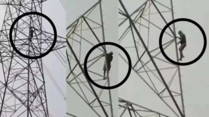 Chhattisgarh Farmer Climbs Power Tower in Janjgir-Champa Over Paddy Token Delay