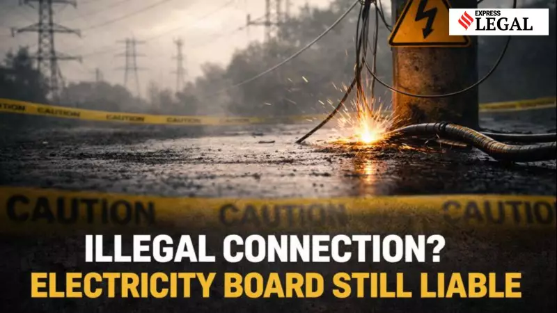 Chhattisgarh High Court: Electricity Board Liable for Electrocution Death Despite Illegal Connection
