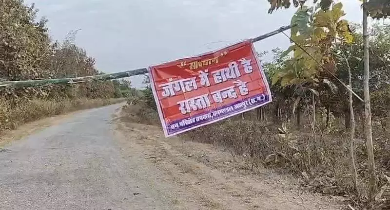 Chhattisgarh Seals Forest Roads After Elephant Herd Turns Villages Into Danger Zone