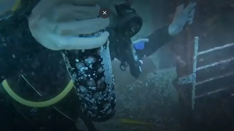 Chilean Divers Pioneer Underwater Wine Aging in Pacific Ocean Experiment