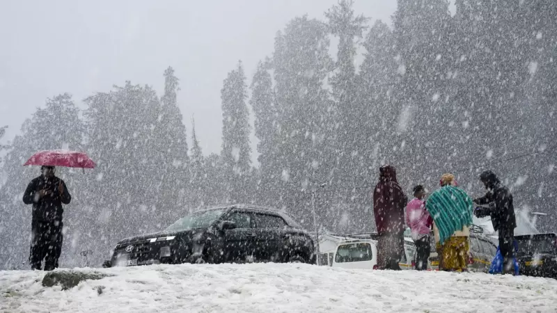 Chillai Kalan 2024: Kashmir's 40-Day Winter Reign Attracts Record Tourists, Army Vigilant