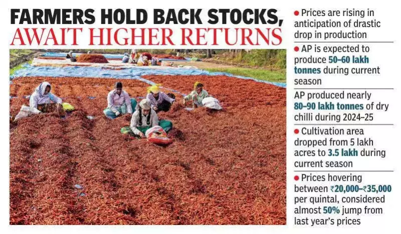 Chilli Prices Soar in Andhra Pradesh Markets, Bringing Relief to Farmers