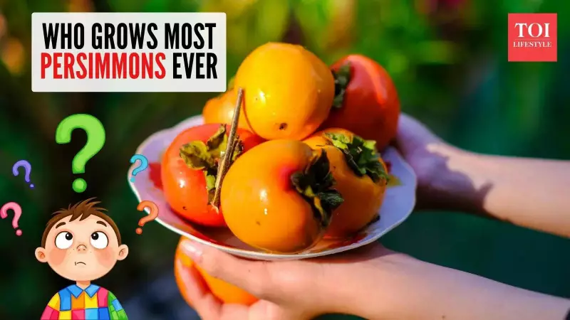 China Dominates Global Persimmon Production: The Sweet Story Behind the World's Favorite Fruit