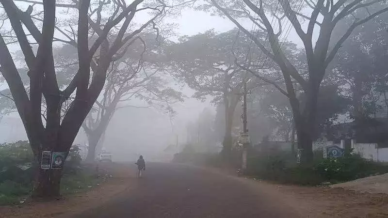 Chintapalle Hits 4.5°C, Andhra's Coldest This Season Amid Dense Fog