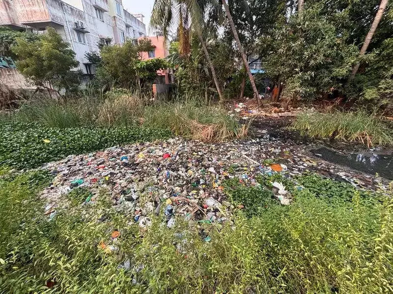 Chitlapakkam Lake Inaugurated After 6-Year Restoration, But Half the Work Remains