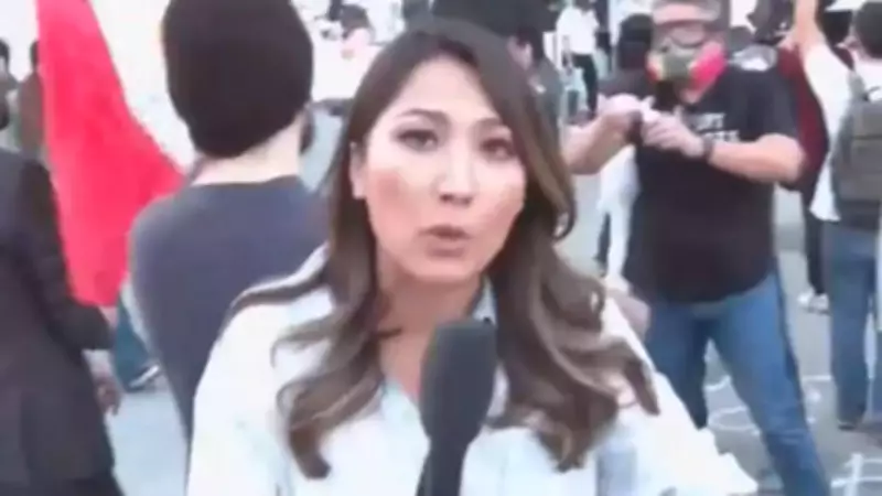 CNN Reporter Hit by Pepper Balls During Chaotic ICE Protests in Los Angeles