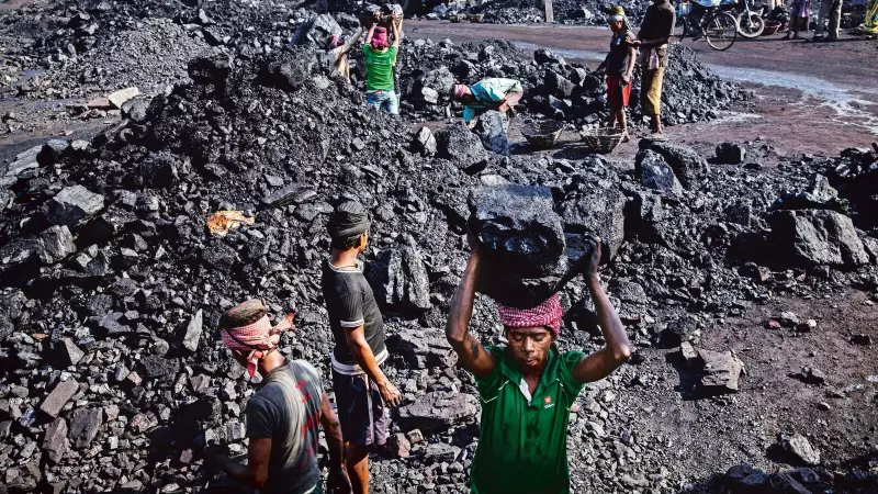 Coal India Shares Surge 6% as Neighbouring Nations Allowed Direct Auction Access