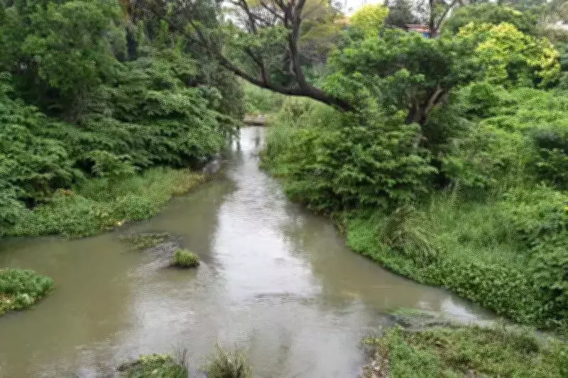 Coimbatore's Noyyal Riverfront Gets ₹202.5 Crore Boost for Eco-Development