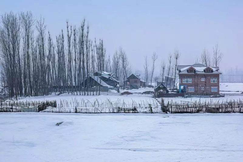 Cold Conditions Intensify in Kashmir, IMD Forecasts Wet Weather Spells