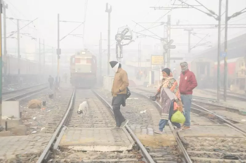 Cold Spell Continues in Punjab, Haryana; Chandigarh Sees 6°C