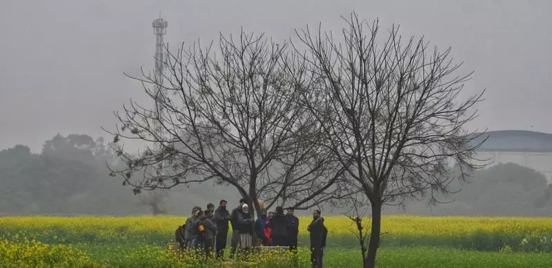 Cold Wave Continues in Haryana and Punjab with Temperatures Dropping to 2-6 Degrees