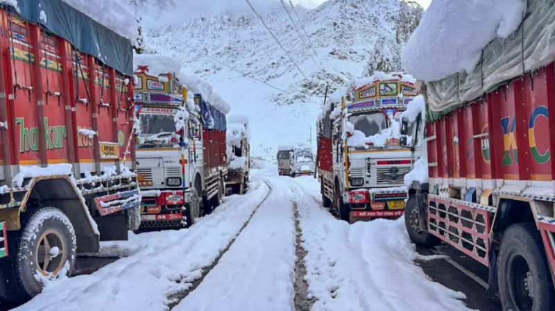 Cold Wave Grip Continues: IMD Predicts Snowfall in Hills, Dense Fog in Plains