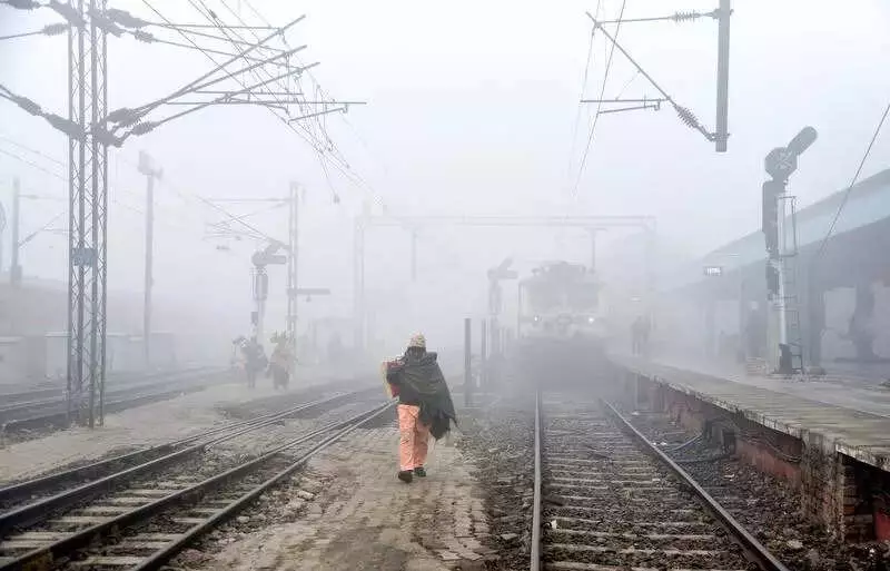 Cold Wave Grips Punjab & Haryana, Dense Fog Disrupts Visibility