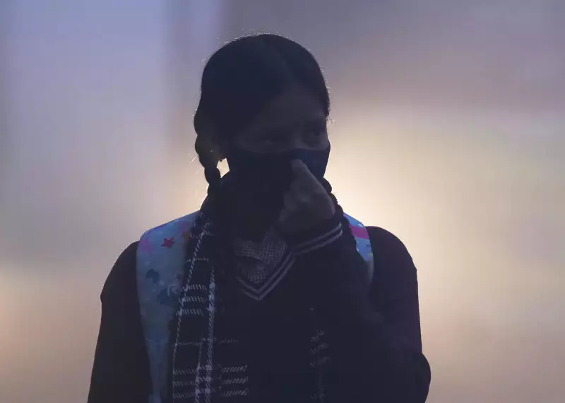 Cold Wave Shuts Schools in Rajasthan, Tripura, Jharkhand Till Jan 10