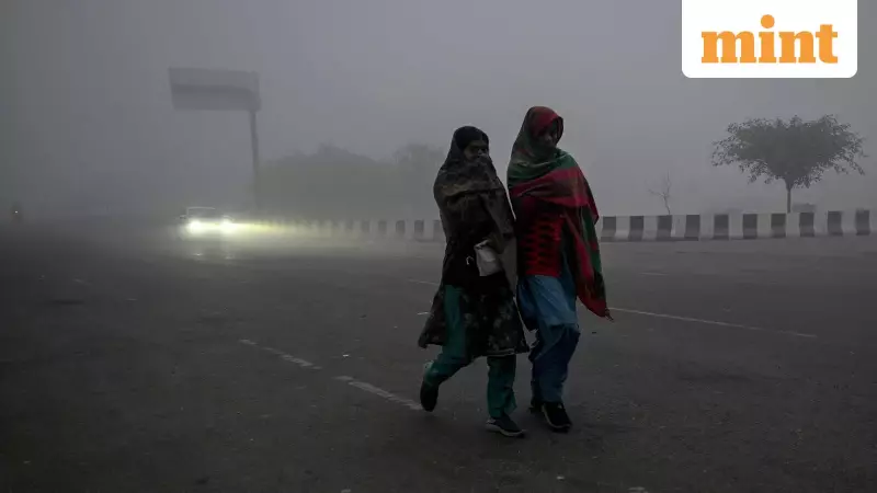 Cold Wave to Ease in North India After Jan 14, Delhi Hits 3°C