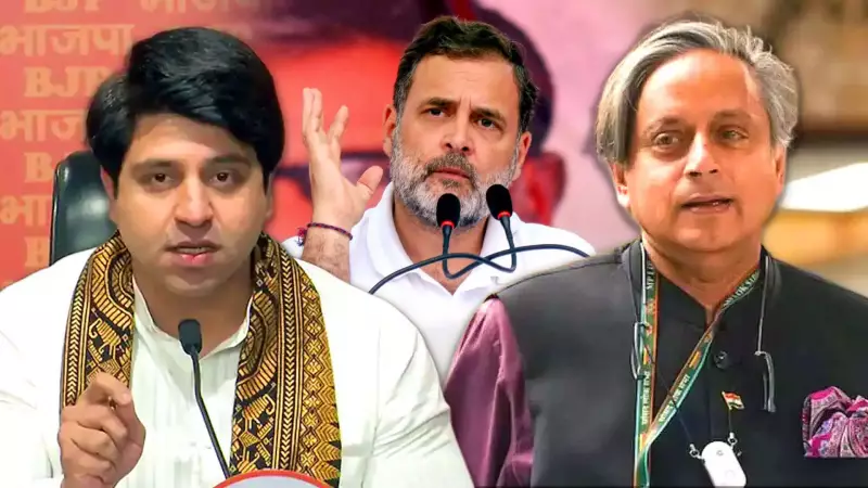 Congress Leaders Reject Shakeel Ahmad's Rahul Gandhi Criticism, BJP Sees Internal Revolt