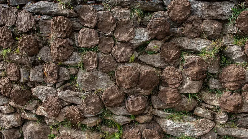 Cow Dung Water Sprinkled in Bhubaneswar Protest Against Women's Bodybuilding Event