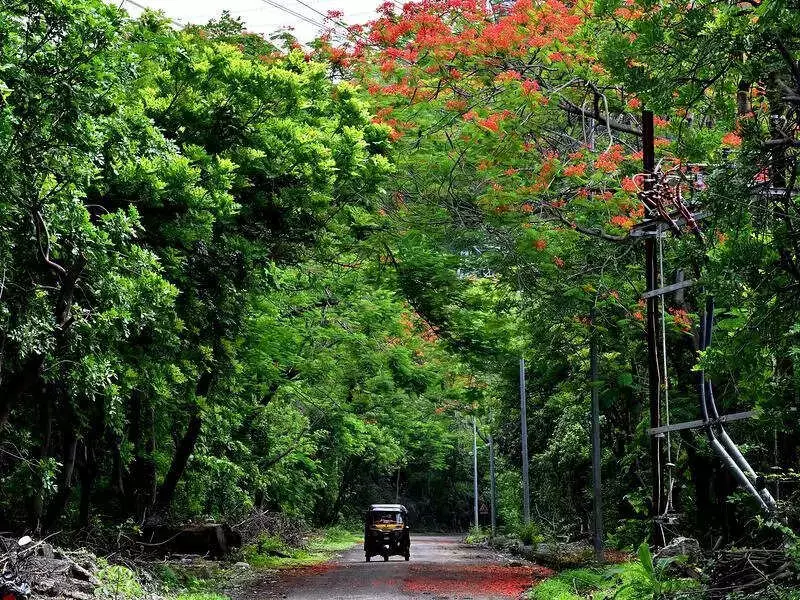 CPI Slams Fadnavis Over 'Save Tapovan' Remarks, Defends Tree Protection Stand