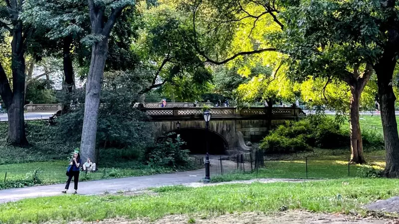 Cubbon Park Walkers' Association Faces Police Notice Over Pinkathon 2026 Opposition