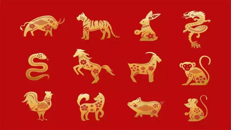 Daily Chinese Horoscope: Ancient Wisdom Guides Your Zodiac's Path Today