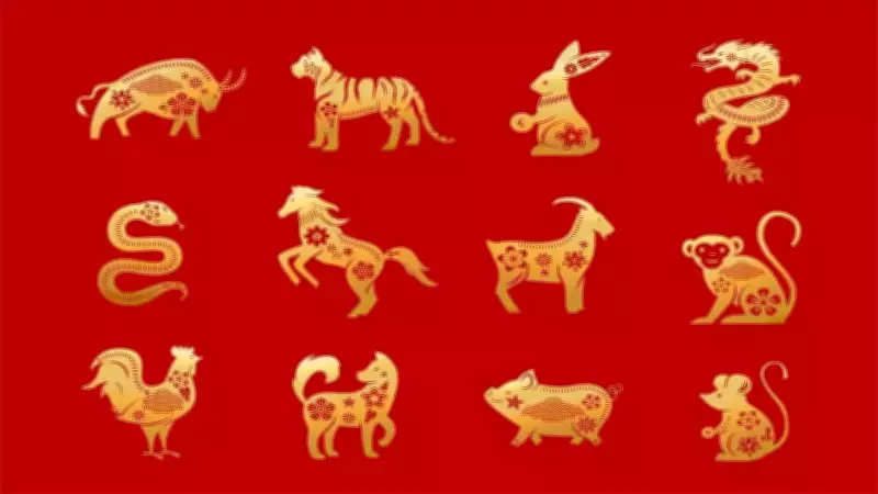 Daily Chinese Horoscope: Zodiac Insights for Today's Energy and Guidance
