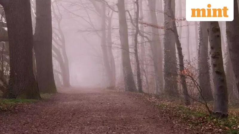 Dangerous Cold and Snow Sweep Across US, NWS Issues Urgent Warnings