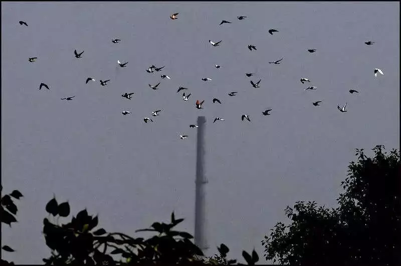 Delhi Air Quality Improves to Moderate After 102 Days, But Relief May Be Brief