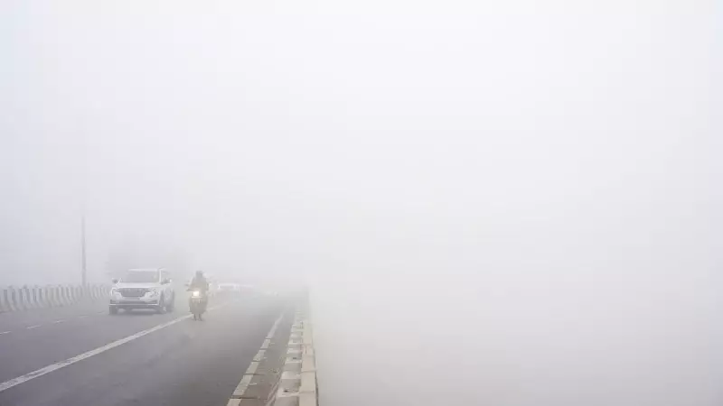 Delhi Chokes Under Thick Fog, Air Quality Plummets to Severe Levels