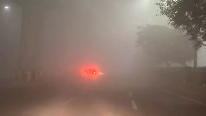 Delhi Engulfed by Dense Fog, IndiGo Issues Advisory as Visibility Drops to Zero