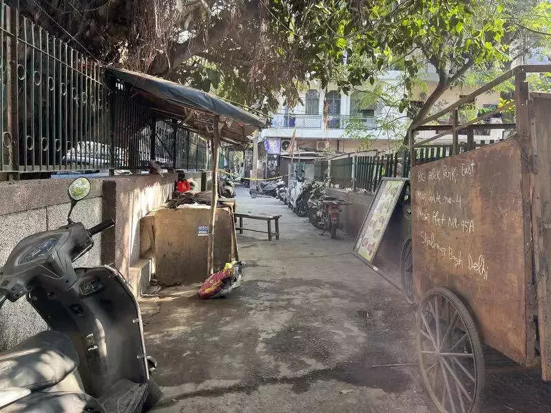 Delhi Family's Double Tragedy: Mother Killed After Father's Murder, Daughters Fear for Safety