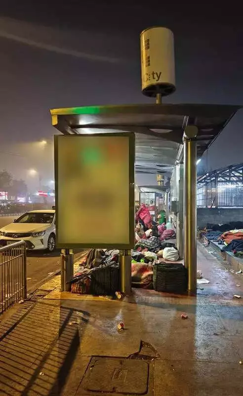 Delhi HC Orders Emergency Shelters for Homeless Patients Amid Cold Wave