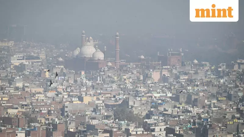 Delhi HC Orders MCD Survey Around Jama Masjid, Demolition of Illegal Structures