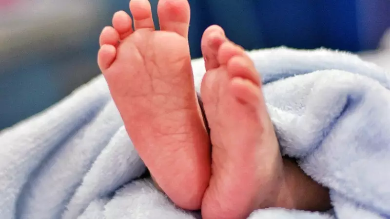 Delhi Hospital Revives One-Day-Old Abandoned Newborn with No Heartbeat