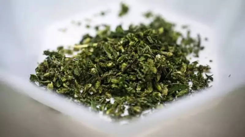 Delhi Police Bust Interstate Drug Racket, Seize 165 kg Cannabis Hidden in Cashew Boxes