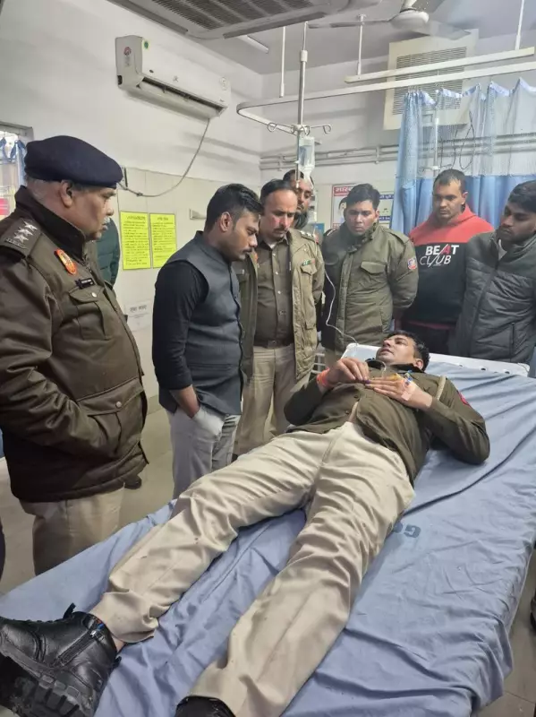 Delhi Police Officers Foil Robbery Attempt Bare-Handed, Sustain Stab Wounds