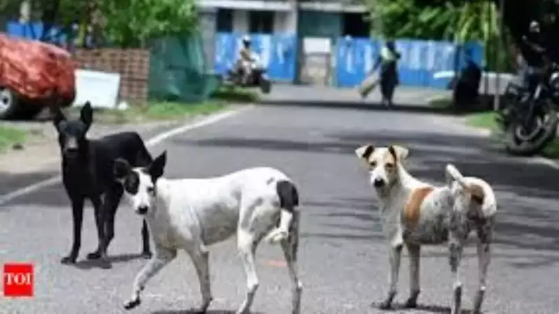 Delhi Police Probes Fake News on Teachers Counting Stray Dogs