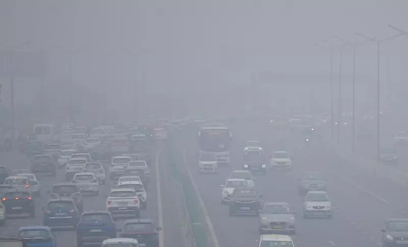 Delhi Records Season's Lowest Temperature at 2.9°C, Residents Shiver